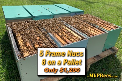 Pallet of Nucs