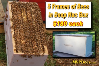 5 Frame Nuc